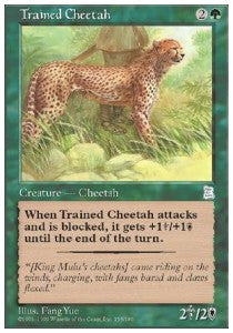 Trained Cheetah⁣ - Portal Three Kingdoms⁣ (Uncommon)⁣ [154]