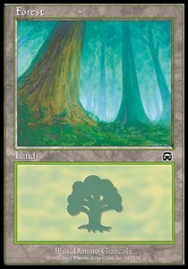 Forest (V.1) - Mercadian Masques (Land) [MMQ-347]