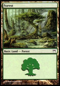 Forest (V.2) - Champions of Kamigawa (Land) [CHK-304]