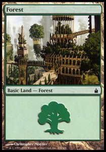 Forest (V.2) - Ravnica: City of Guilds (Land) [RAV-304]