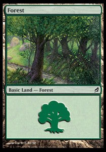 Forest (V.4) - Lorwyn (Land) [LRW-301]