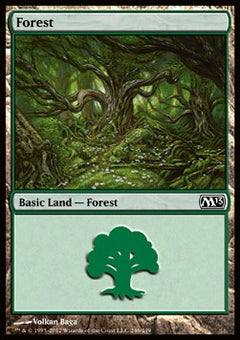 Forest (V.1)⁣ - Magic 2013⁣ (Land)⁣ [246]