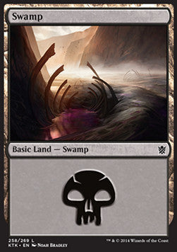 Swamp (V.1)⁣ - Khans of Tarkir⁣ (Land)⁣ [258]