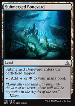 Submerged Boneyard⁣ - Oath of the Gatewatch⁣ (Uncommon)⁣ [178]