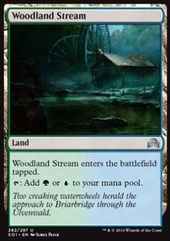 Woodland Stream