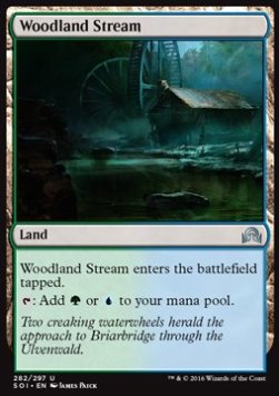 Woodland Stream