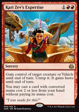 Kari Zev's Expertise