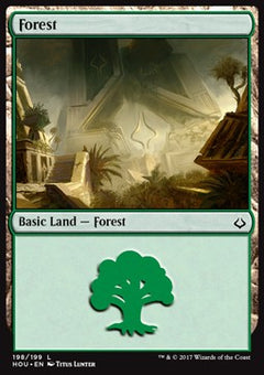 Forest (V.2)