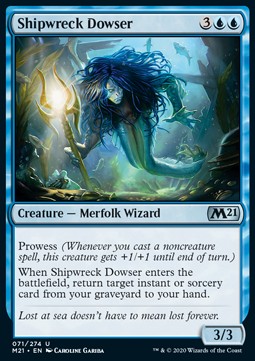 Shipwreck Dowser⁣ - Core 2021⁣ (Uncommon)⁣ [71]