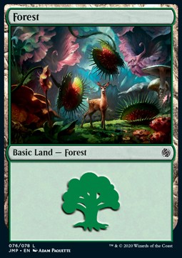 Forest (V.7)⁣ - Jumpstart⁣ (Land)⁣ [76]