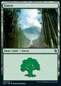 Forest (V.6)⁣ - Jumpstart⁣ (Land)⁣ [75]