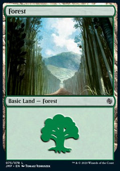 Forest (V.6)⁣ - Jumpstart⁣ (Land)⁣ [75]