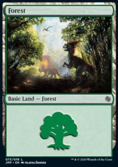 Forest (V.4)⁣ - Jumpstart⁣ (Land)⁣ [73]