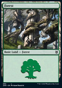 Forest⁣ - Zendikar Rising: Extras⁣ (Land)⁣ [384]