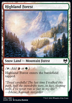 Highland Forest⁣ - Kaldheim⁣ (Common)⁣ [261]