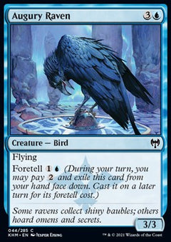 Augury Raven⁣ - Kaldheim⁣ (Common)⁣ [44]