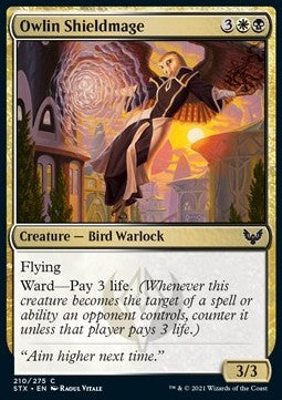 Owlin Shieldmage⁣ - Strixhaven: School of Mages⁣ (Common)⁣ [210]