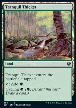 Tranquil Thicket⁣ - Commander: Strixhaven⁣ (Common)⁣ [408]