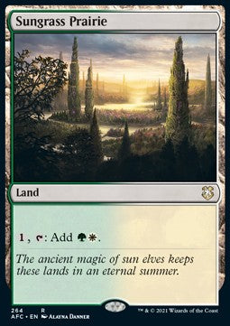 Sungrass Prairie⁣ - Commander: Adventures in the Forgotten Realms⁣ (Rare)⁣ [264]