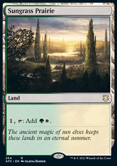 Sungrass Prairie⁣ - Commander: Adventures in the Forgotten Realms⁣ (Rare)⁣ [264]