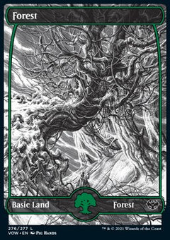 Forest (V.1)⁣ - Innistrad: Crimson Vow⁣ (Land)⁣ [276]