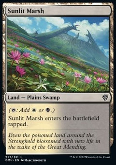 Sunlit Marsh⁣ - Dominaria United⁣ (Common)⁣ [257]