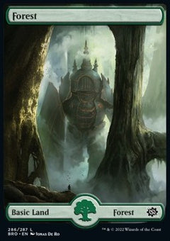 Forest (V.1)⁣ - The Brothers' War⁣ (Land)⁣ [286]