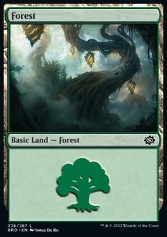Forest (V.3)⁣ - The Brothers' War⁣ (Land)⁣ [276]
