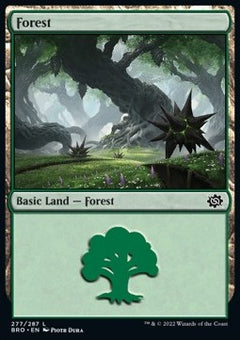 Forest (V.4)⁣ - The Brothers' War⁣ (Land)⁣ [277]
