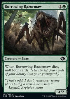 Burrowing Razormaw⁣ - The Brothers' War⁣ (Common)⁣ [173]