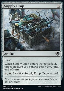 Supply Drop⁣ - The Brothers' War⁣ (Common)⁣ [250]