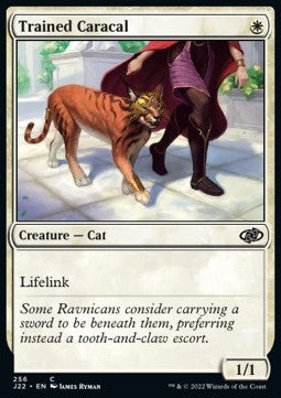 Trained Caracal⁣ - Jumpstart 2022⁣ (Common)⁣ [256]