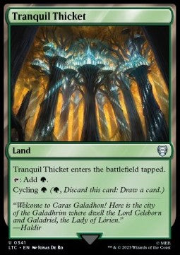 Tranquil Thicket⁣ - Commander: The Lord of the Rings: Tales of Middle-earth⁣ (Uncommon)⁣ [341]