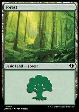 Forest (V.6)⁣ - Commander Masters: Extras⁣ (Land)⁣ [799]