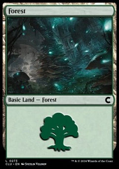 Forest (V.4)⁣ - Ravnica: Cluedo Edition⁣ (Land)⁣ [272]