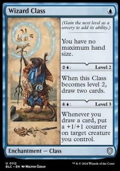 Wizard Class⁣ - Commander: Bloomburrow⁣ (Uncommon)⁣ [112]
