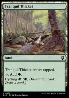 Tranquil Thicket⁣ - Commander: Bloomburrow⁣ (Common)⁣ [350]