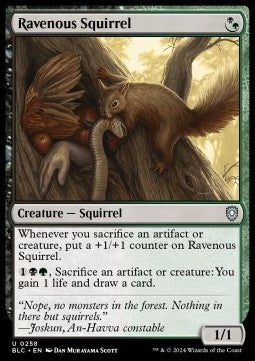 Ravenous Squirrel⁣ - Commander: Bloomburrow⁣ (Uncommon)⁣ [258]