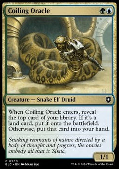 Coiling Oracle⁣ - Commander: Bloomburrow⁣ (Common)⁣ [250]