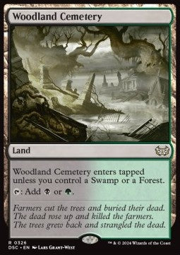 Woodland Cemetery⁣ - Commander: Duskmourn: House of Horror⁣ (Rare)⁣ [326]