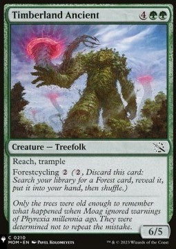 Timberland Ancient⁣ - Mystery Booster 2: Reprints from Across Magic's History⁣ (Common)
