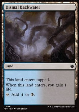 Dismal Backwater⁣ - Magic: The Gathering Foundations⁣ (Common)⁣ [261]