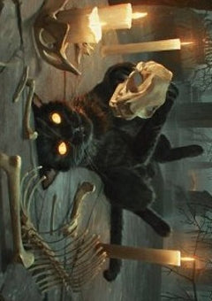 Art Series: Nine-Lives Familiar (V.1)