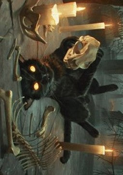 Art Series: Nine-Lives Familiar (V.1)