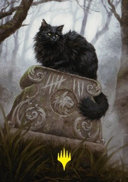 Art Series: Nine-Lives Familiar (V.4)