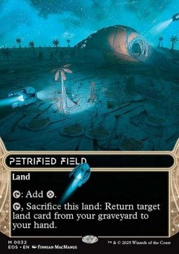 Petrified Field (V.1)⁣ - Stellar Sights⁣ (Mythic)⁣ [32]