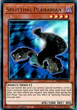 Splitting Planarian⁣ - 2025 Mega-Pack Tin⁣ (Ultra Rare)⁣ [263]