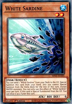 White Sardine⁣ - 2025 Mega-Pack Tin⁣ (Common)⁣ [305]