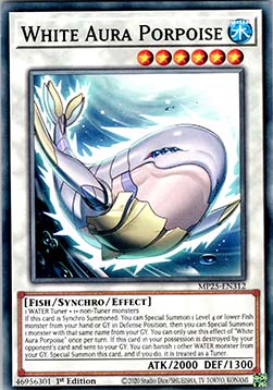 White Aura Porpoise⁣ - 2025 Mega-Pack Tin⁣ (Common)⁣ [312]