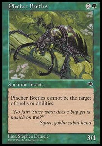 Pincher Beetles⁣ - Tempest⁣ (Common)